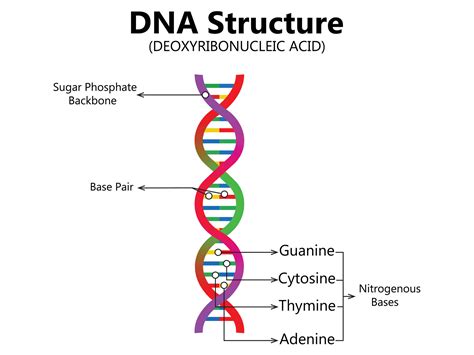 郭旺隴|看國泰人如何擁抱創新DNA